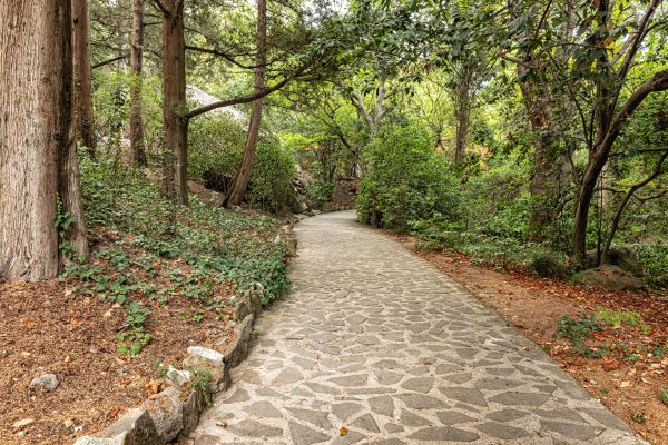 Stone Walkway Repair in Meridian