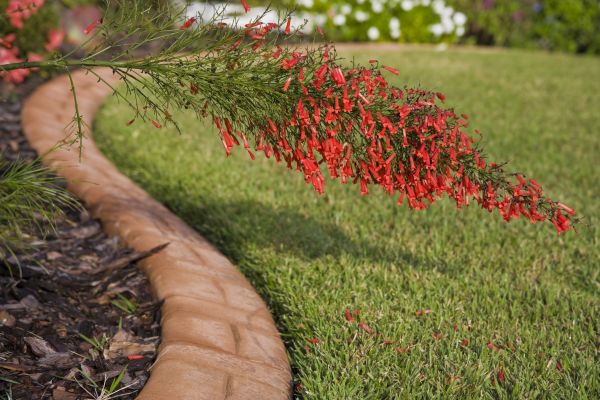 Brick Edging in Meridian