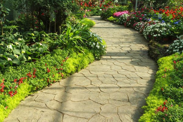 Stone Pathway Repair in Meridian