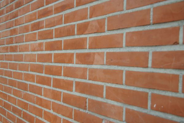 Wall Repointing in Meridian