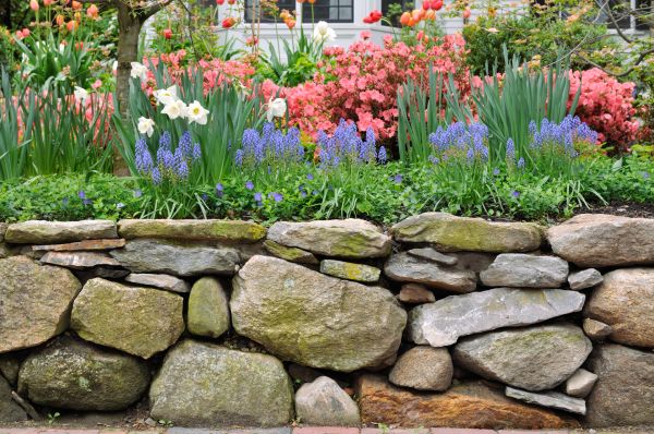Stone Wall Hardscaping in Meridian