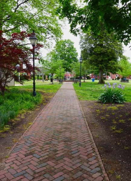Brick Pathway Repair in Meridian