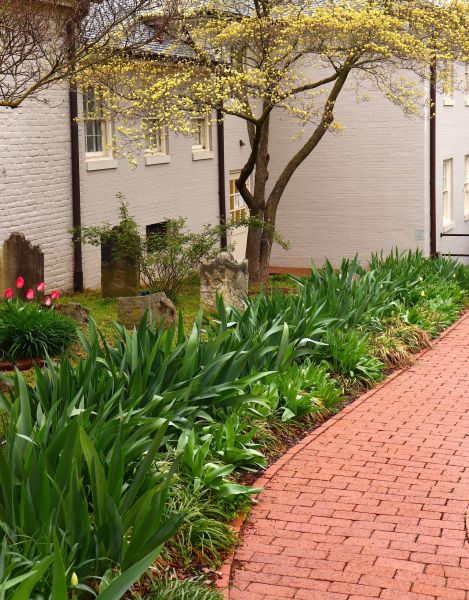 Brick Flatwork Repair in Meridian